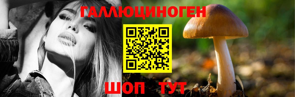 Кизляр  Псилоцибиновые грибы Psilocybine cubensis  Псилоцибиновые грибы Psilocybine cubensis  Вход с VPN 